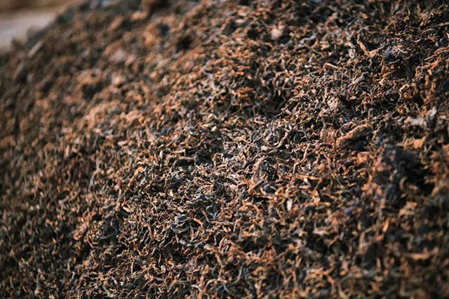 芒嘎拉第二代老班章熟茶