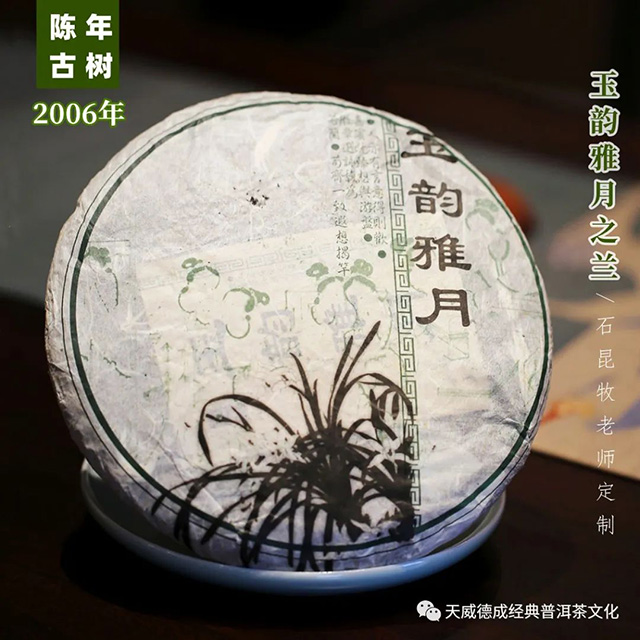 天威德成2006年玉韵雅月兰品质特点