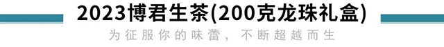 2023博君生茶