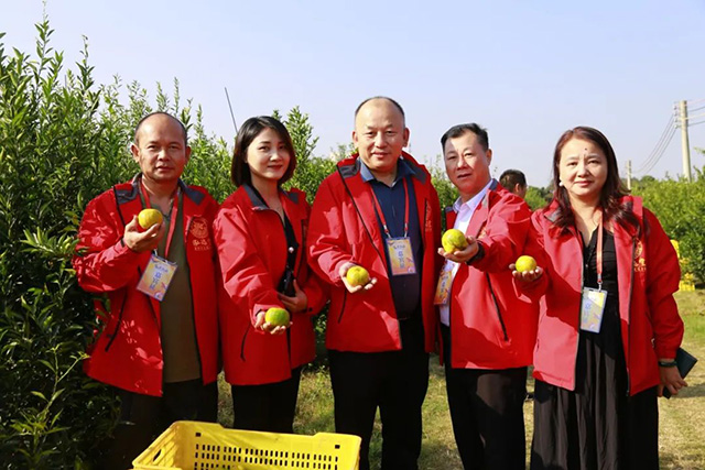 泓达堂2024品牌年战略发布会