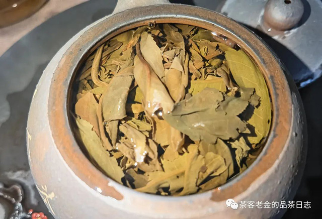 中茶2023年金孔雀普洱茶