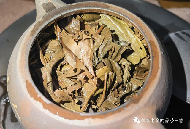 中茶2023年金孔雀普洱茶
