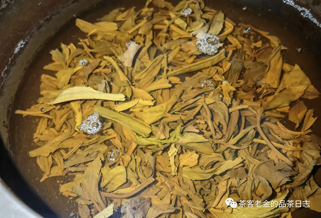 中茶2023年金孔雀普洱茶