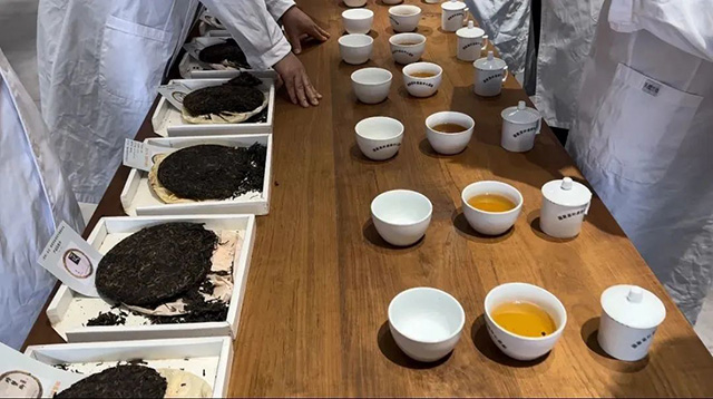 广州唐宋茶业有限公司唐宋年份普洱茶专家审评会