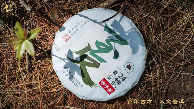 六大茶山24节气好茶