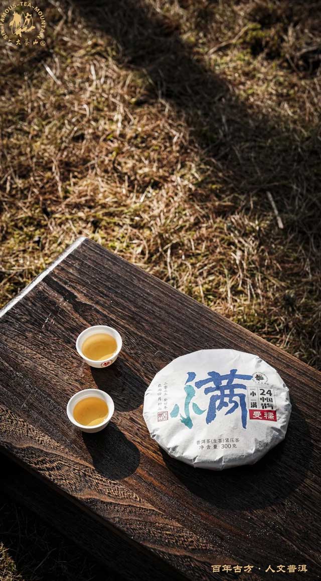 六大茶山24节气好茶