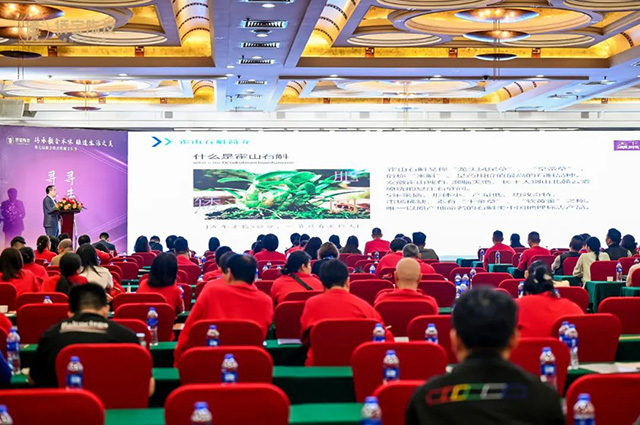 安徽天下泽雨生物科技发展有限公司总经理杨涛先生分享陈皮石斛的知识