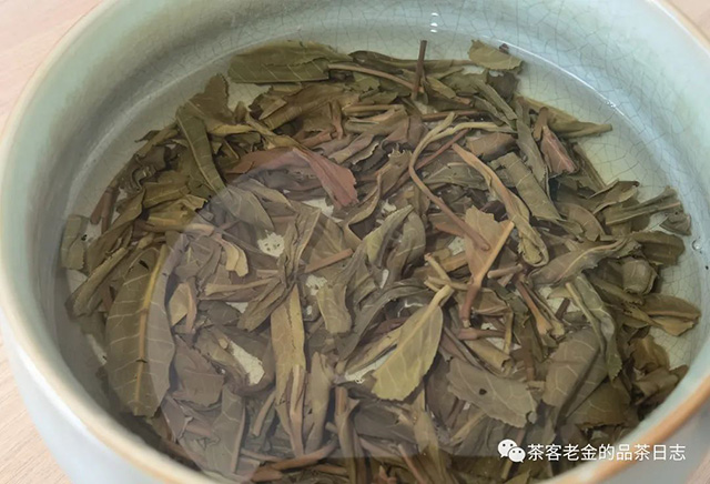 茗寿堂2023年芝颜普洱茶秋茶