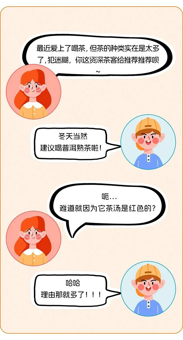 大益普洱熟茶