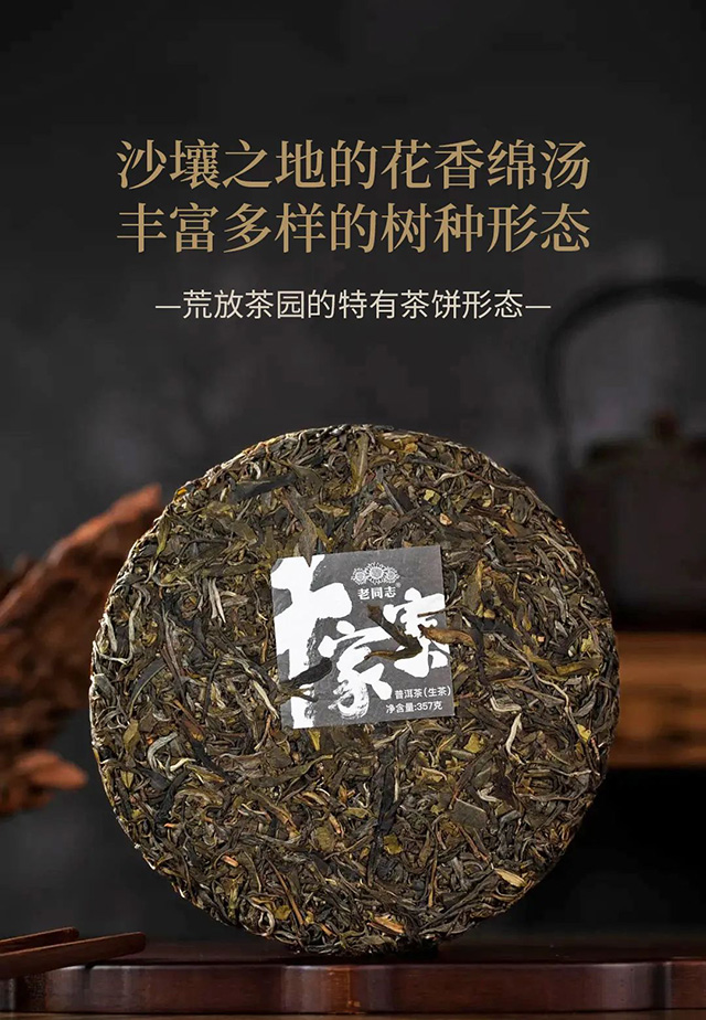 老同志名山古树纯料旗舰版开篇大作千家寨