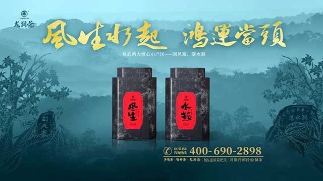 龙润茶2023风生水起刮风寨落水洞普洱茶