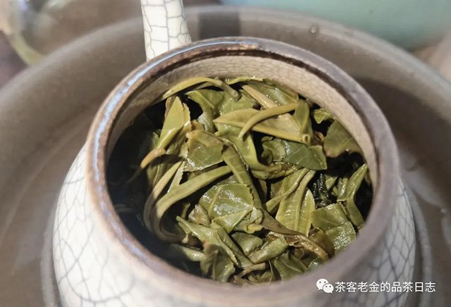 困鹿山制茶人2023年倚邦无极普洱茶