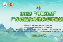 金招牌丨丽宫股份联合广东省地理标志协会创建新会陈皮地理标志驿站