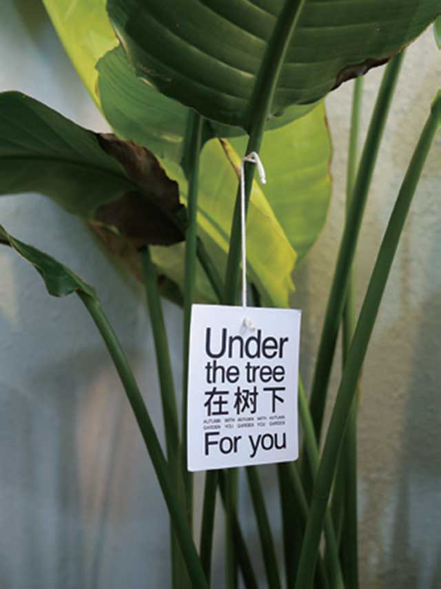普洱杂志