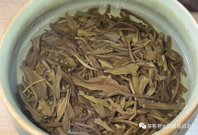 昆明茶商金俊2018年哆依树一类高杆头春普洱茶