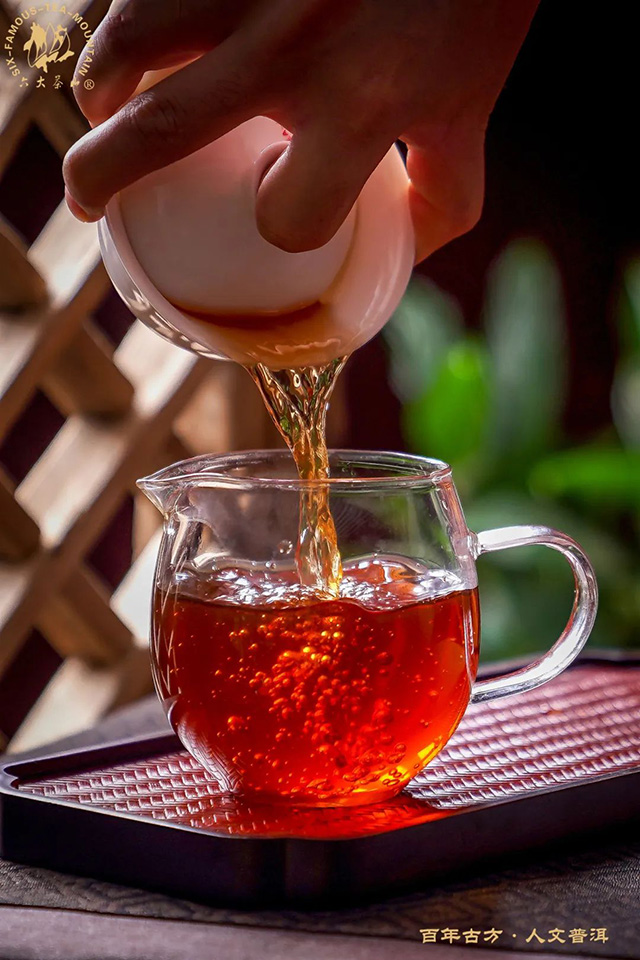 六大茶山金毫贡饼普洱茶