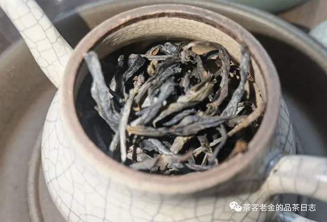 栩月古茶2023年国有林高杆双子高杆普洱茶