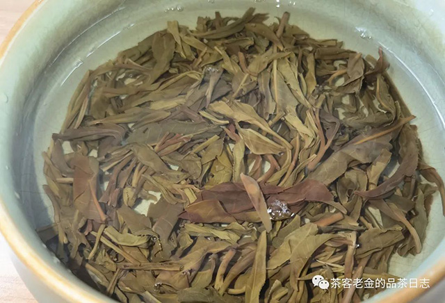 昆明茶商金俊2020年黄粱一梦野树高杆普洱茶