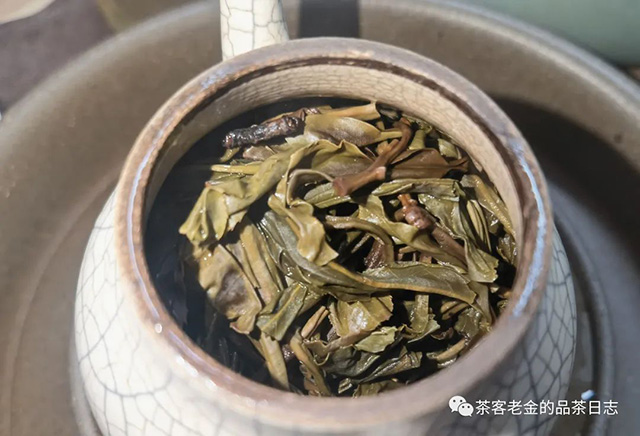 昆明茶商金俊2020年黄粱一梦野树高杆普洱茶