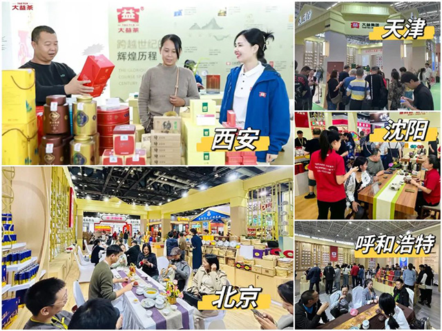 大益茶2023十大亮点