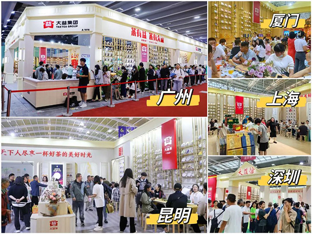 大益茶2023十大亮点