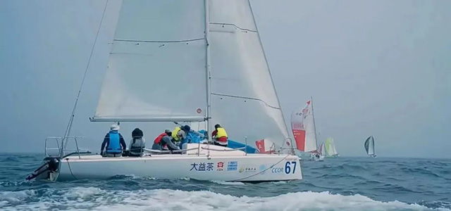 大益茶2023十大亮点