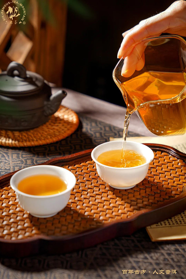 六大茶山冬至普洱茶品质特点