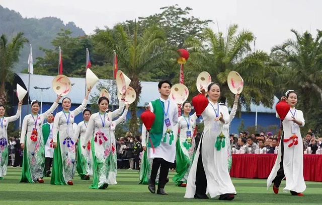 越南地方代表队方阵亮相开幕式