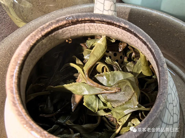 栩月古茶小叶茶祖春普洱茶