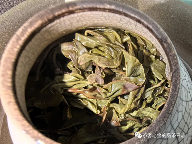 栩月古茶小叶茶祖春普洱茶