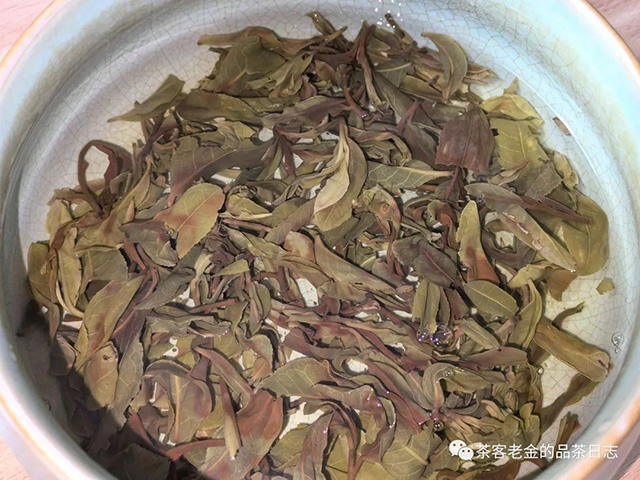 栩月古茶小叶茶祖春普洱茶