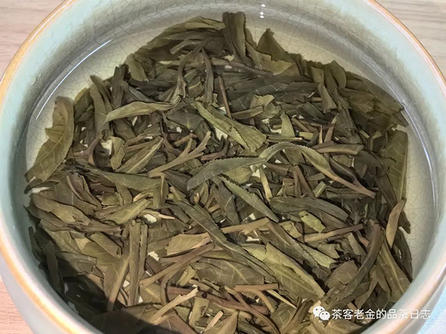 曼林老张2023年10周年纪念套装普洱茶