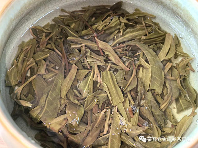 曼林老张2023年10周年纪念套装普洱茶