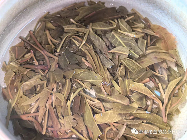 曼林老张2023年10周年纪念套装普洱茶