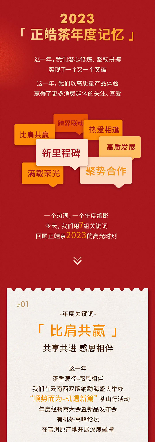 正皓茶2023年度关键词出炉