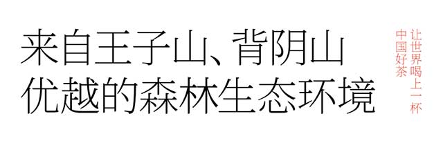 2023宝和祥曼松普洱茶品质特点