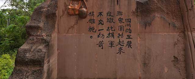 普洱杂志