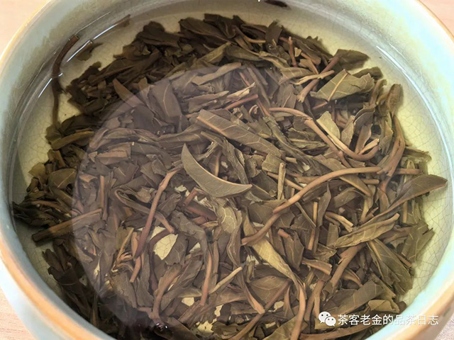 陈永珍2020年白茶园高杆普洱茶