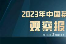 全国茶界“一片白”，如何突围？《2023年中国茶产业观察报告》