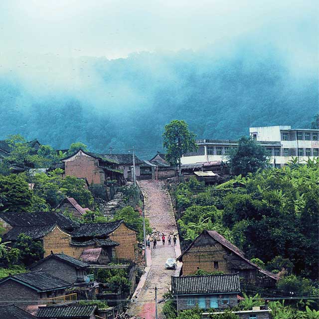 普洱杂志