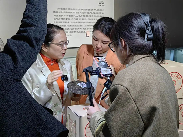 六大茶山普洱茶电商