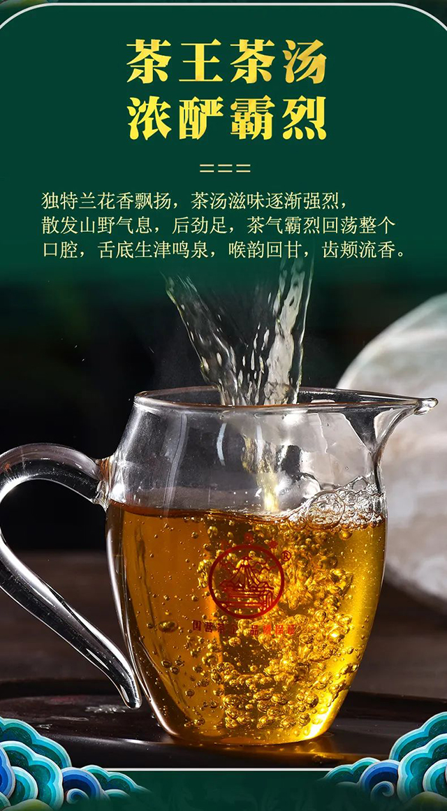 八角亭班盆老寨布朗山低调的茶王勐海茶王节茶王奖品质特点