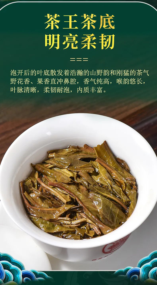 八角亭班盆老寨布朗山低调的茶王勐海茶王节茶王奖品质特点