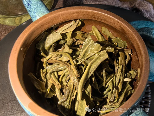 翡翠与茶2023曼松古树秋茶普洱茶