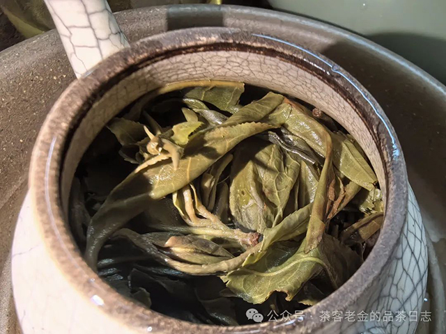 栩月古茶2023年登峰造极3179普洱茶