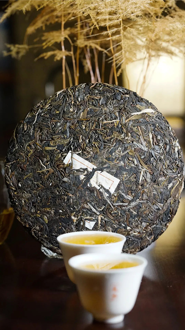 天弘茶业一品古六山普洱茶