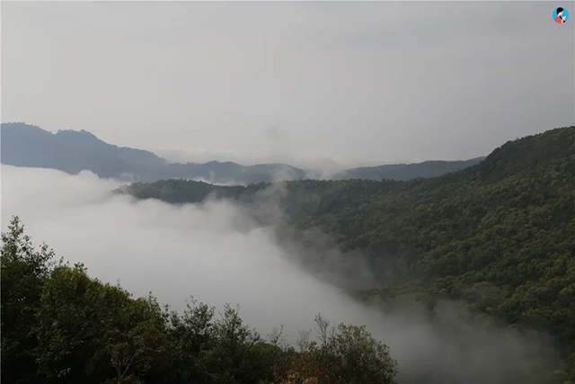 景迈山实拍