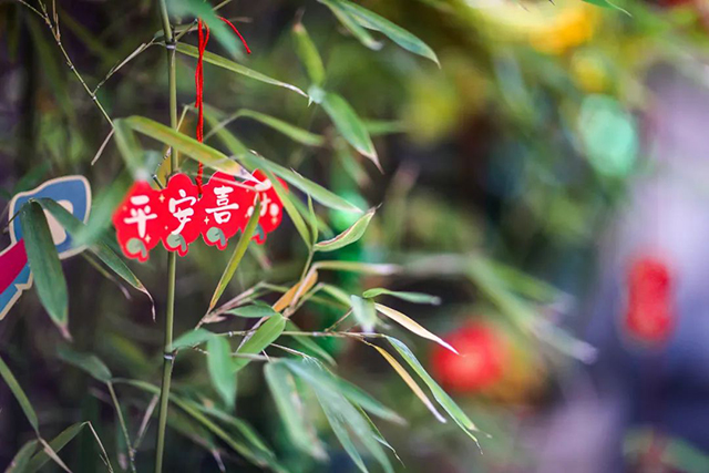 大益茶2024龙年拜年茶语
