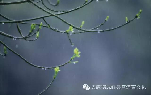 石昆牧经典茶文化