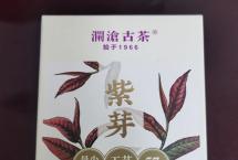 茶道可道：品澜沧古茶紫芽普洱生茶2023